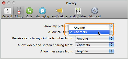 Allow skype to skype calls setting